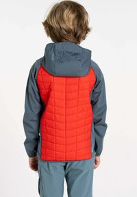 Rote und graue isolierte Jacke mit einer gesteppten Textur auf dem Rücken, der Kapuze und elastischen Bündchen. Mit einem Logo auf dem oberen Rücken.