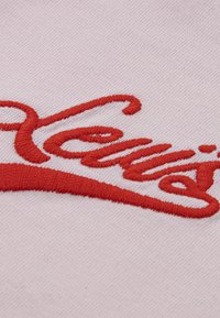 Testo ricamato rosso su uno sfondo di tessuto rosa chiaro, con una texture liscia e uno stile corsivo. Il design mostra in modo prominente il nome del marchio.