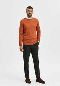 Selected Homme SLHBERG brązowy