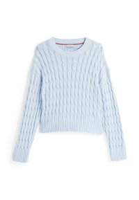 Maglione lavorato a maglia blu chiaro con motivo a treccia, scollo rotondo e orlo a costine. Stile cropped con maniche lunghe e dettagli discreti.