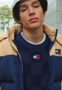 Tommy Jeans ALASKA - Chaqueta de plumas - trench/multi