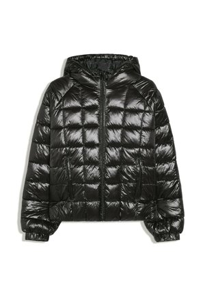 Bershka, GRID PRINT - PUFFER JACKET - Veste d'hiver - black