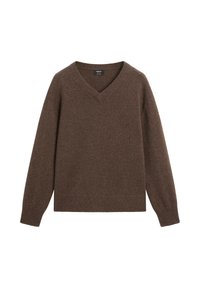Pull col V marron en matériau doux avec des bords-côtes aux poignets et à l'ourlet. Présente une coupe décontractée sans motifs ni accents matériels visibles.