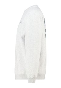 Sweatshirt gris clair avec col rond et poignets côtelés, coutures latérales, avec des graphismes imprimés sur la poitrine gauche et le côté.