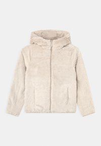Abercrombie & Fitch Zimní bunda - beige