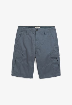 Tumedatehnikaga lühikese jalgevahega lühikesed püksid tumesinises riidis, mitme tasku, vööpanna ja õmblemise detailidega. Materjal näeb välja kerge ja vastupidav.