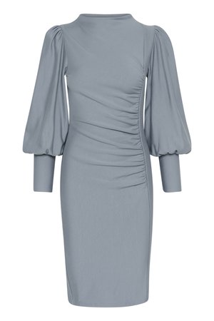 Hallitusseente kleit hallis värvuses, puffvarrukatega, külgmiste kogumistega ja kõrge kaelusega. Valmistatud siledast kangast, mille lõpp on põlve kõrgusel.