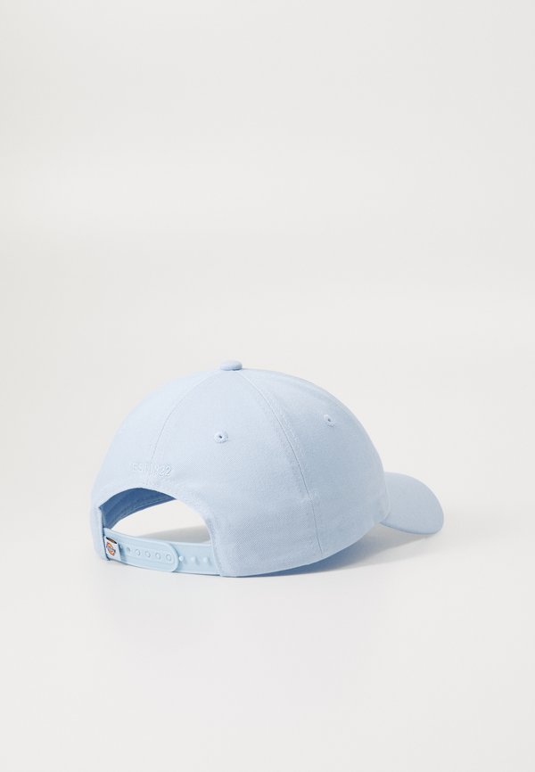 HARDWICK UNISEX - Cap - skyway3