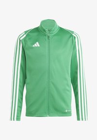 Unausgewählt, team green