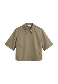 Unausgewählt, dusky green