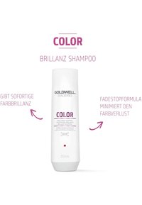 Goldwell GOLDWELL DUALSENSES COLOR BRILLIANCE SHAMPOO - Shampoo