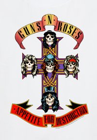 Stylized skulls with rock band hairstyles form a cross, with "Guns N' Roses" above and "Appetite for Destruction" below on banners.