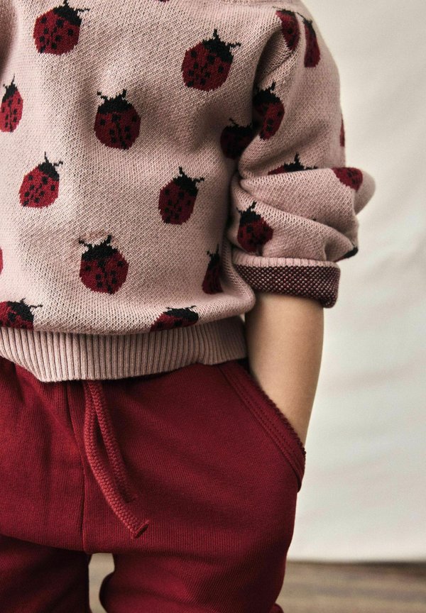 LANGARM - Strickpullover - misty rose