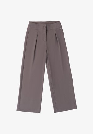 Graue weit geschnittene Hose mit glatter Textur, ausgestattet mit einem Frontknopfverschluss und zwei Seitenfalten für zusätzliche Details.