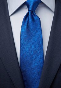 Blå paisleymönstrad slips med en glänsande, strukturerad yta, bärs med en mörk kostym och ljusblå skjorta, vilket visar upp intrikata mönster och detaljerad design.