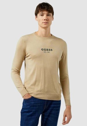 KNITTED NYLON PULLOVER - Maglione - beige