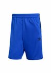 FIREBIRD - Pantaloni de trening - lucid blue   black