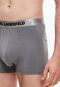 Graue Boxershorts mit einem silbernen Bund, der "CARL LAGERFELD" in schwarzer Schrift zeigt. Glatter Stoff, anliegende Form und flache Nähte.