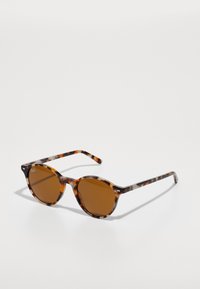 BERNARD UNISEX - Occhiali da sole - havana grey e brown / brown