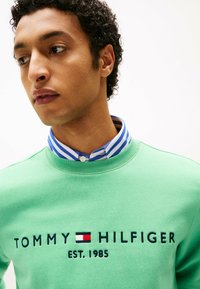 Sweatshirt vert avec "TOMMY HILFIGER EST. 1985" brodé en bleu marine. Caractéristiques d'un col rayé bleu et blanc en dessous. Texture douce.