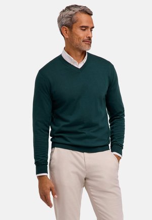 Mann mit grauen Haaren, der einen dunkelgrünen V-Ausschnittpullover über einem weißen Hemd und beigen Hosen trägt, steht mit einer Hand in der Tasche und schaut nach rechts.