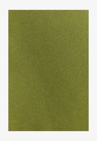Non sélectionné, solid green