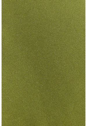 LOAVIES, LAGOON DUST - Haut de bikini - solid green