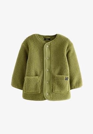 Next BORG-REGULAR FIT - Polárdzseki - green