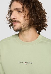 Lys grønn hettegenser laget av mykt stoff, med rund halslinning, ribbede ermer og en liten brodert logo på brystet.