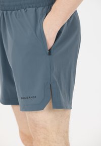 Grå träningsshorts med elastisk midja, sidofickor och delad fåll. Har "ENDURANCE"-logga på nedre vänstra delen. Slät textur.