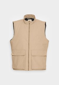 Não selecionado, chinchilla