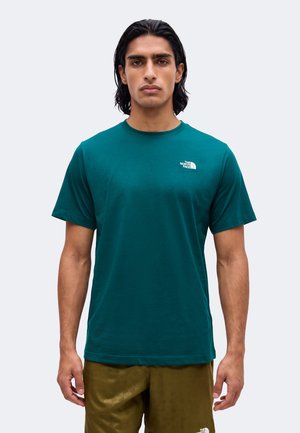 Hombre con cabello negro de longitud media lleva una camiseta turquesa de The North Face y pantalones cortos verde oliva, de pie frente a un fondo liso.