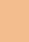 631 sun beige