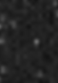 Taifun Bleistiftrock - schwarz