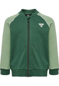 Veste zippée verte avec des manches vert clair, des poignets et un col côtelés. Présente un passepoil blanc et un petit logo sur la poitrine. Tissu doux.