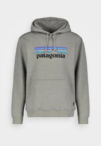 Patagonia Jersey con capucha - grey