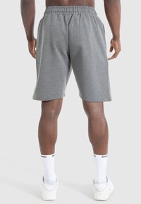 Smilodox NALE TRAINING SHORTS - Korte broeken - grau melange