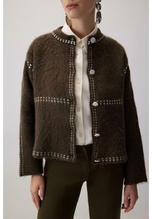 Rjavi mehki kardigan z belim karo vzorcem in okrasnimi srebrnimi gumbi, nošen čez belo srajco z ovratnikom in temne hlače.