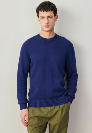 Man with curly dark hair wearing a blue crew-neck sweater and olive green pants standing against a plain light wall.