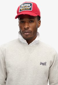Superdry & Co ESSENTIAL LOGO CREW - Sudadera - glacier grey marl