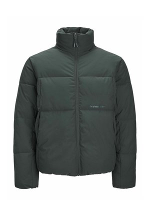 Tumši zaļš polsterēts mētelis ar augstu apkakli un pilnu priekšējo rāvējslēdzēju. Iezīmējas ar kvadrātveida dizainu, horizontāliem šuvēm un bez redzamām logotipiem.