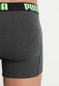 Puma 3 PACK - Trunks - black/green/grey