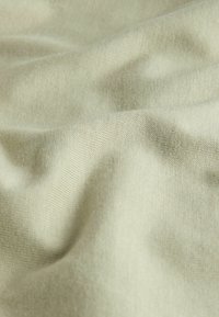 Gaiši zaļa auduma ar gludu tekstūru un smalku pinumu, kas demonstrē maigu kritumu un smalkas krāsas variācijas.