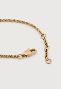 Κολιέ με αλυσίδα σε χρυσό τόνο με πλεξούδα σχεδίαση, που διαθέτει κούμπωμα καβουριού και ρυθμιζόμενους κρίκους σε λευκό φόντο.