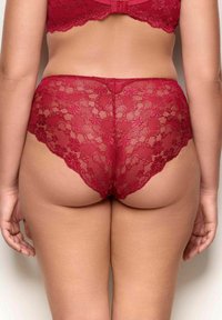 Punase punaiset pitsialushousut, joissa on kukkakuviot, aallotetut reunat ja korkea vyötärö, esiteltynä takakuvasta.