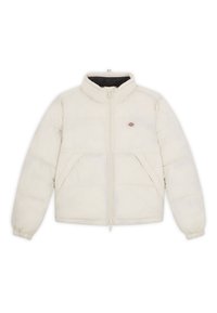 Dickies Vinterjakker - beige