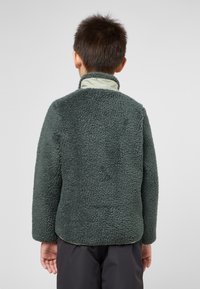 Jack Wolfskin ICE CURL  - Fleecejas - slate green mint leaf