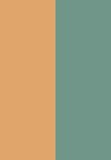 Color (5)
