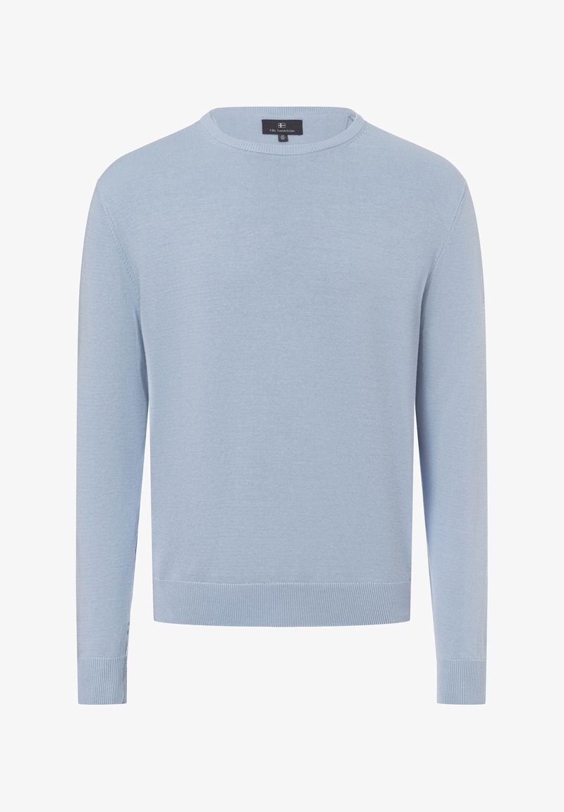Maglione azzurro chiaro a maniche lunghe in un morbido tessuto lavorato a maglia, con scollo a girocollo e polsini a coste. Design semplice senza motivi o dettagli visibili.