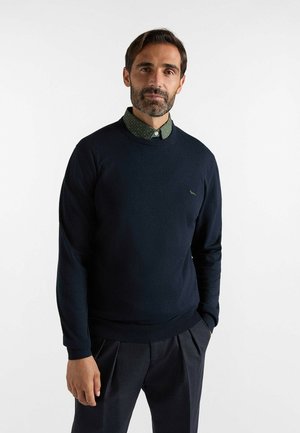 Uomo con barba che indossa un maglione blu scuro sopra una camicia verde a fantasia con colletto, in piedi con una mano in tasca su uno sfondo bianco uniforme.